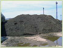 Kompost Kompost